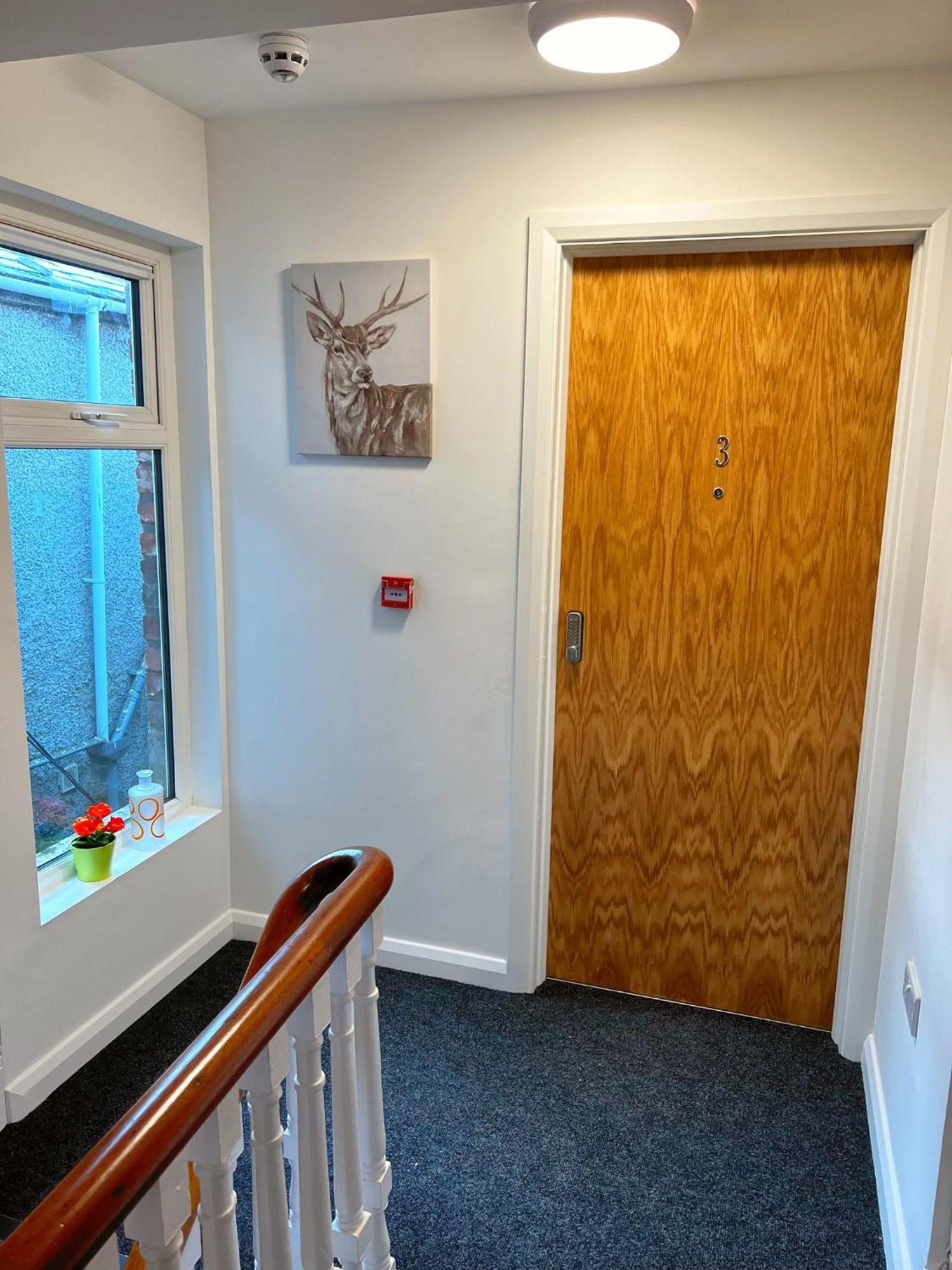 Bangor Central Apartments Екстериор снимка
